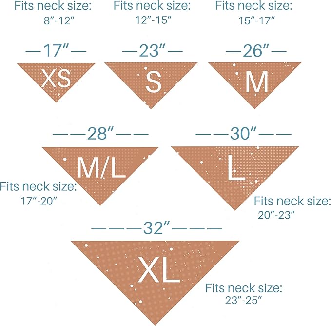 Big Bro Dog Bandana Pregnancy Announcement Baby Announcement to Grandparents (Small)