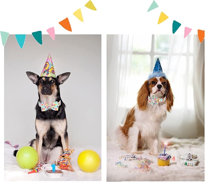Unqiue Style Paws Birthday Dog Collar, Soft and Cute Dog Bow Tie, Durable Pet Collar with Bow Adjustable Bow Dog Collar for X-Large Dogs