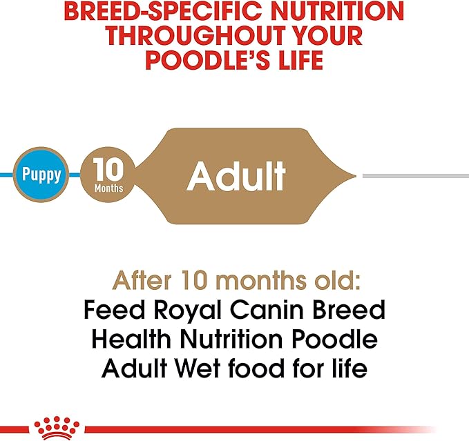 Royal Canin Breed Health Nutrition Poodle Adult Loaf in Sauce Dog Food, 3 oz (Pack of 6)