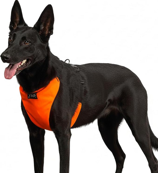 YAP Techno® No Pull Dog Harness for Large Dogs, Adjustable Temperature Controlled Dog Vest Harness No Choke Dog Harness with Easy Control Handle for All Breeds; 90-175 lbs (Signal Orange, Extra Large)