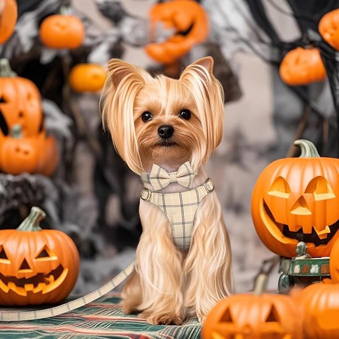 Beirui Cute Extra Small Dog Harness Collar and Leash Set with Bowtie, Soft Adjustable Plaid Puppy Harness for Small Sized Dogs Cats Walks Parties and Photoshoots(Beige,XXS:Chest 12-14")