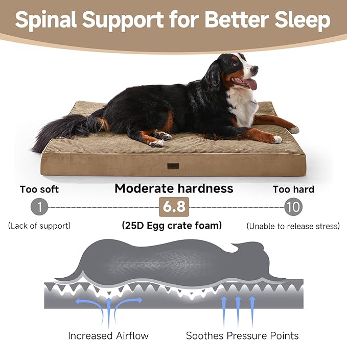 OhGeni Orthopedic Waterproof & Machine Washable Dog Bed for Extra Large Pets, Wider & Larger Size, Cat Mat with 25D Egg Crate Foam, Removable Cover, 54 Inches(Coffee)