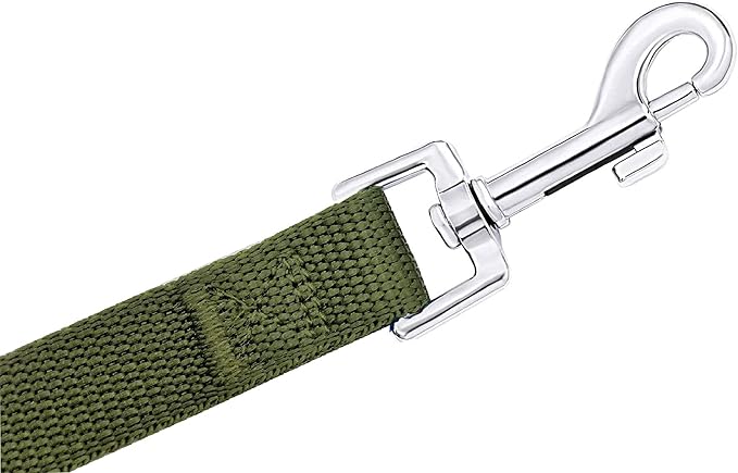 PETGOGO 15ft 20ft 30ft 40ft 50ft Long Dog/Puppy Lead Obedience Recall Training Dog Leashes for Small Medium Dogs Camping, Training, Play, or Backyard (Green, 1" x 30FT)