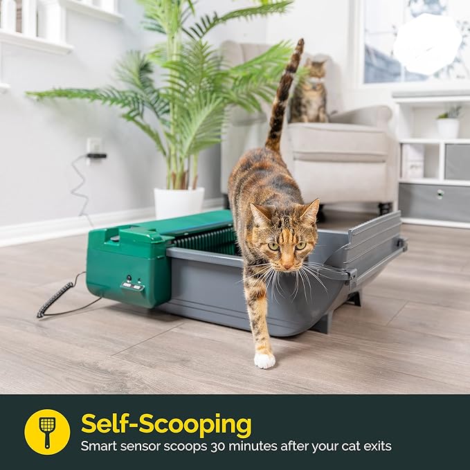 Pet Zone Smart Scoop Litter Box Value Pack, Self Cleaning, Hands-Free Large Litter Box, Easy to Clean