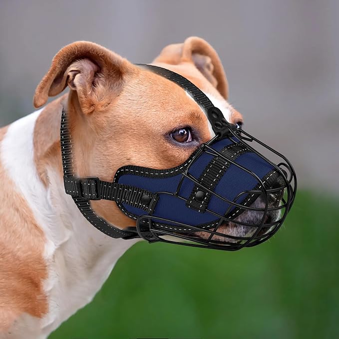OOPSDOGGY Pitbull Dog Muzzle - Reflective Metal Mask with Wire Basket for Large Dogs - Soft Cage Muzzle to Prevent Biting & Chewing - Adjustable Nylon Straps (Blue)