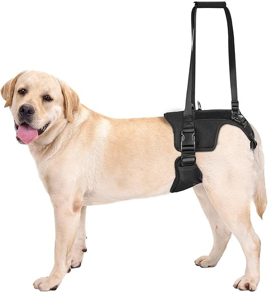 OneTigris Victus Support Harness,Lightweight & Simple Mobility Assistance Vest with Grab Handle | Pet Lifting Rehabilitation Gear | Rear Leg Support Straps