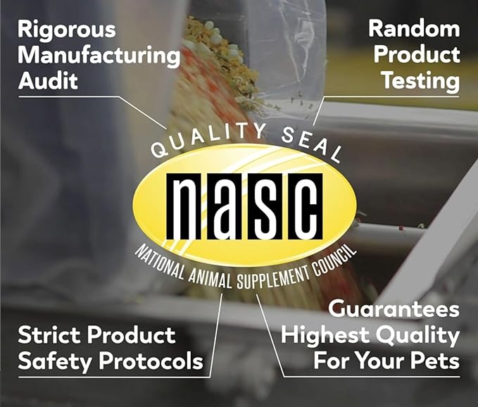 PetScy Itch & Allergy Plus Chews for Dogs Itchy Skin, Ears & Paws | Probiotics, Moringa & Turmeric | Dog Allergy Relief for Skin Redness, Hair Loss Gut & Digestive Health - Bacon Flavor - 60 Chews