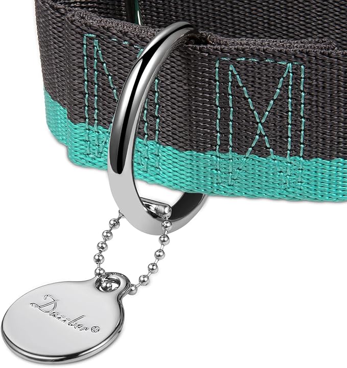 Martingale Collar 1.5 Inch Wide 1200D Extra Strong Nylon Dog Collar, No Pull Heavy Duty Dog Collar with 2-Color Stripe for Medium to XLarge Dogs (Extra Large, Wide Grey & Blue)