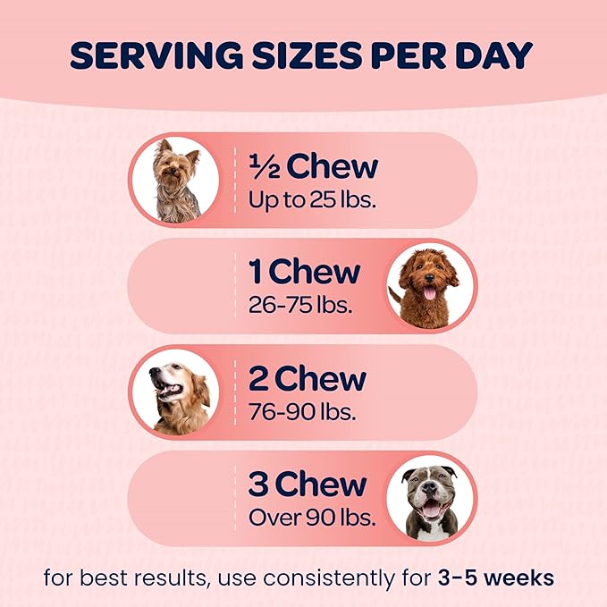 Hip and Joint Chews for Dogs | Dog Glucosamine Chews for Comfort & Mobility with Chondroitin MSM & Turmeric | Dog Joint Supplement for All Ages & Sizes | NASC Certified & Made in The USA | 90 Chews