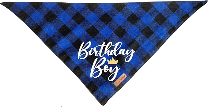 Realeaf Birthday Boy Dog Bandana, Dog Birthday Party Supplies,Premium Durable Fabric,Buffalo Bandana for Small and Medium Dogs Pets (Blue Paid, Small)