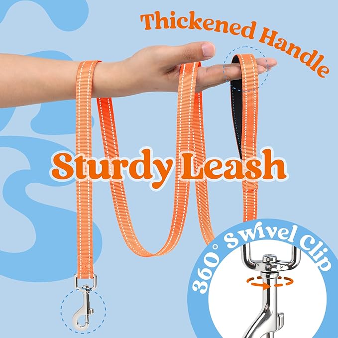 rabbitgoo Dog Harness Small Sized and Leash Set, Step-in Breathable Pet Harness, Soft Walking Reflective Puppy Vest for Small Dogs, Light Blue & Orange, L