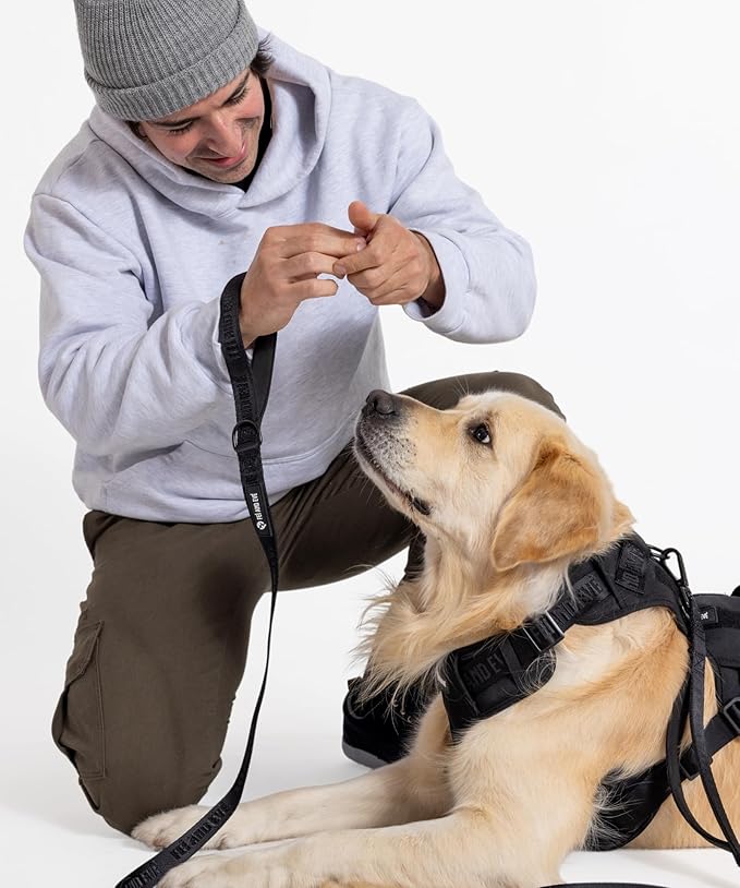 2025 New Edition, Fei & Eve Classic Dog Harness - Quick-Release Buckles | 3-Point No-Pull Control | Heavy-Duty 900D Nylon | Dual Safety Handles | Breathable Mesh | Adjustable Fit | Large,Black