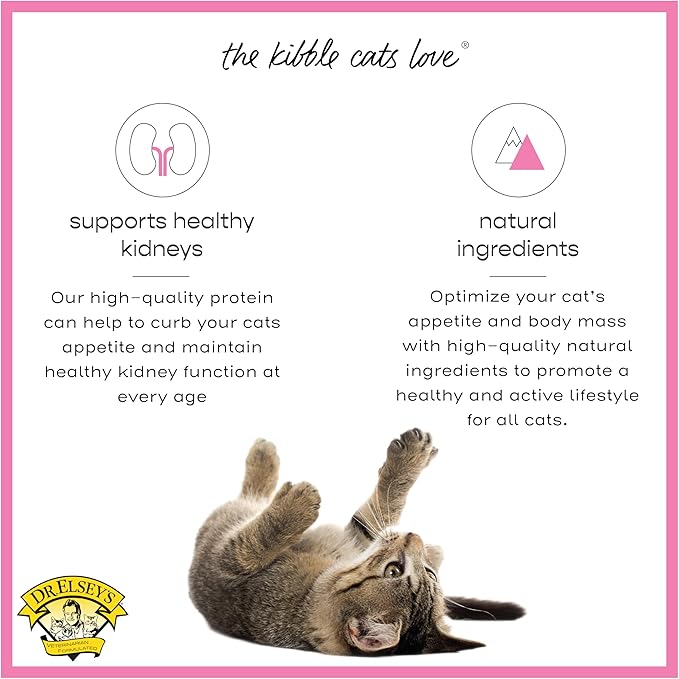 Dr. Elsey's cleanprotein Protein Bites Pork 12 oz.