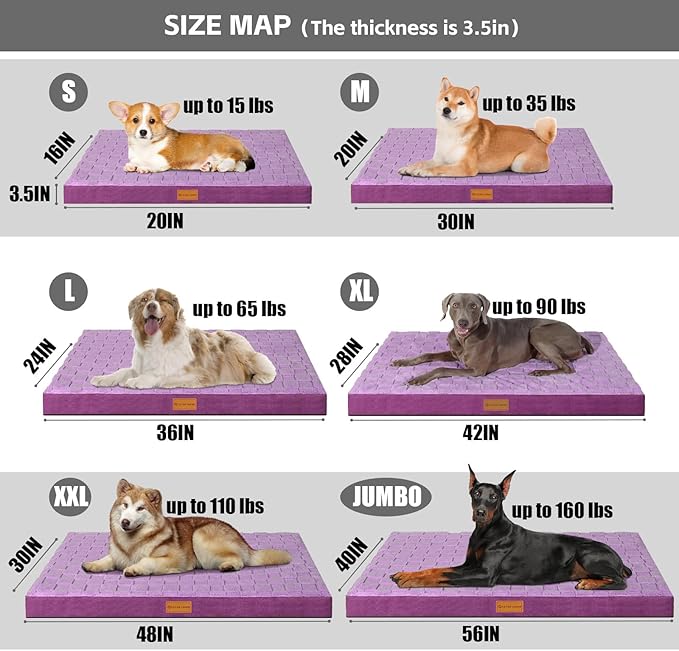 Patas Lague Orthopedic Dog Bed Large Sized Dog 36''X24'', Waterproof Soft Comfortable Egg Crate Foam Large Pet Beds Crate Mat with Removable Washable Cover and Nonskid Bottom, Pueple
