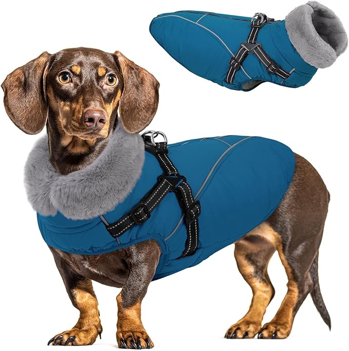 Queenmore Small Dog Coat,Dog Coat for Small Dogs,Reflective Windproof Dogs Jackets with Built-in Harness,Doggy Winter Jacket with Zipper On Back,Warm Pet Coats with Fleece Lining,Blue,S