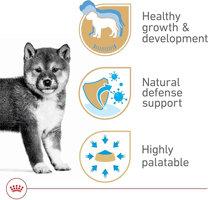 Royal Canin Canine Health Nutrition Puppy Loaf in Sauce Dog Food, 5.2 oz (Pack of 24)