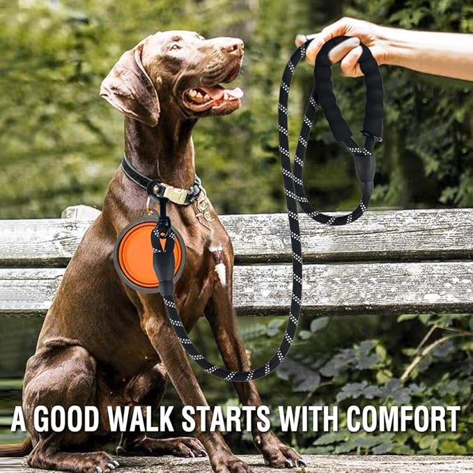 COOYOO 2 Pack Dog Leash 4 FT Heavy Duty - Comfortable Padded Handle - Reflective Dog Leash for Medium Large Dogs with Collapsible Pet Bowl Set 7-Black+Orange