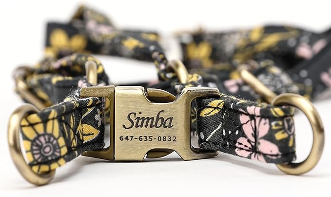 Angie and Allie Organic Cotton Personalized Step in Dog Harness,Custom Dog Halter Vests,Adjustable No Pull Canine Halter Harness for Small Medium Large Dogs