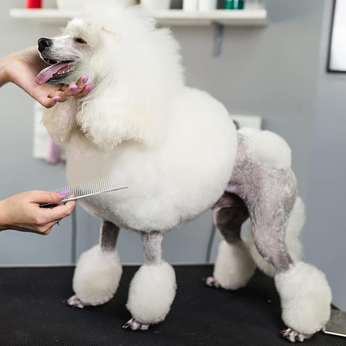 Chris Christensen 9in Coarse Poodle Butter Comb, Groom Like a Professional, Rounded Corners Prevent Friction and Breakage, Solid Brass Spin with Steel Teeth, Chrome Finish