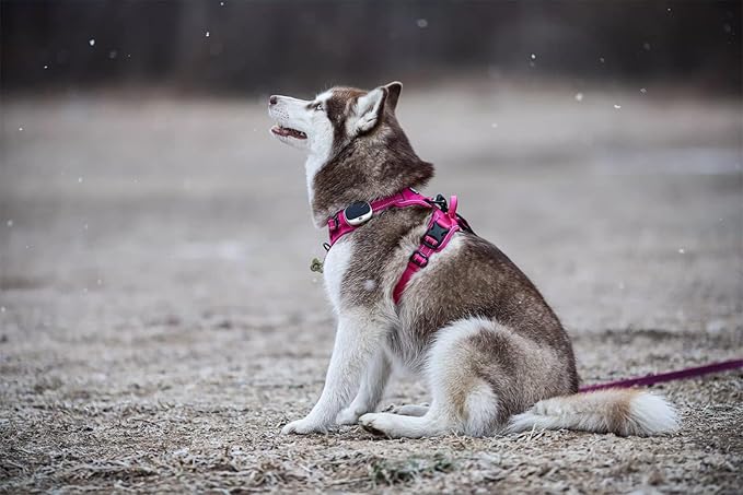 TRUE LOVE Adjustable No-Pull Dog Harness Reflective Pup Vest Harnesses Comfortable Control Brilliant Colors Truelove TLH5651(Fushcia,XL)