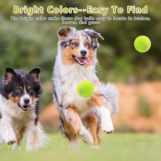 Magicorange 20 Pack Small Tennis Balls, 2 inch Squeaky Tennis Ball for Dogs,Colorful Easy Catching Squeaky Dog Balls with Mesh Bag for Easy Transport (Yellow)