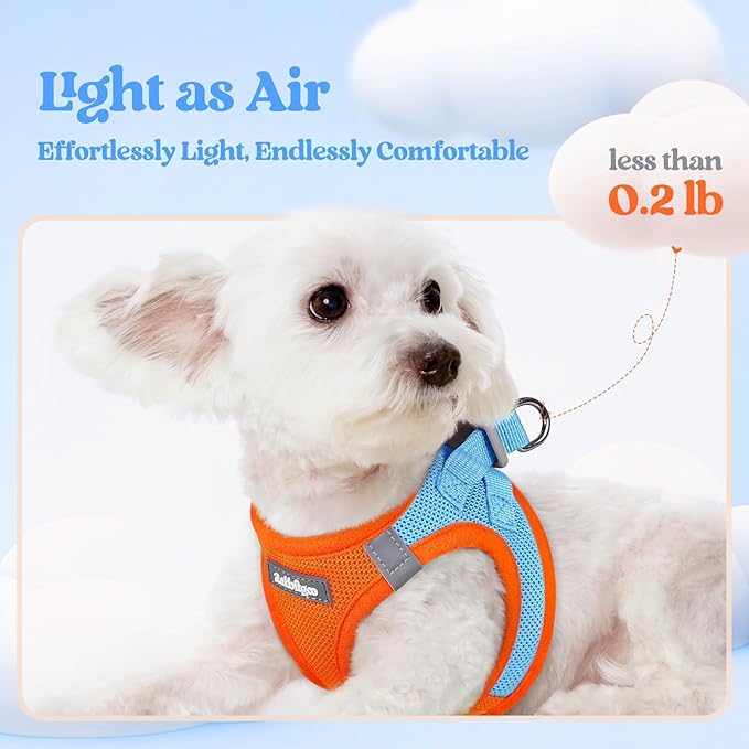 rabbitgoo Dog Harness Small Sized and Leash Set, Step in Soft Light Puppy Vest, Breathable Mesh Pet Harness, Reflective for Safe Easy Walking, Blue & Orange XS