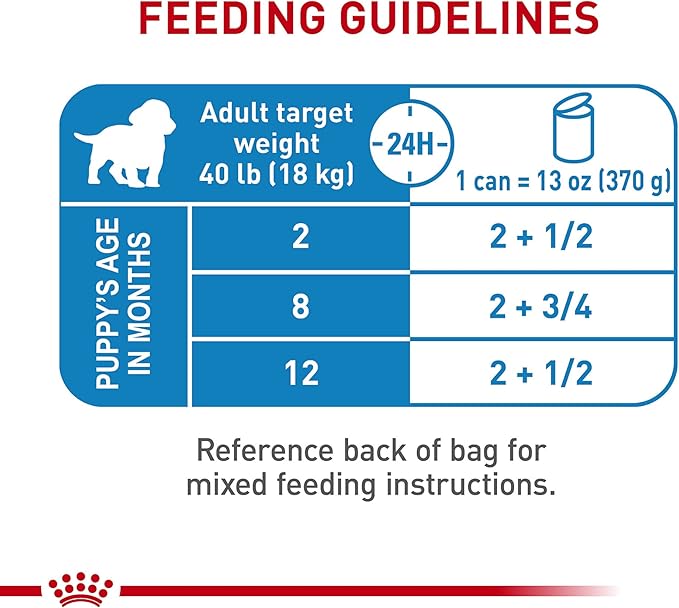 Royal Canin Size Health Nutrition Medium Puppy Thin Slices in Gravy Dog Food, 13 oz (Pack of 12)