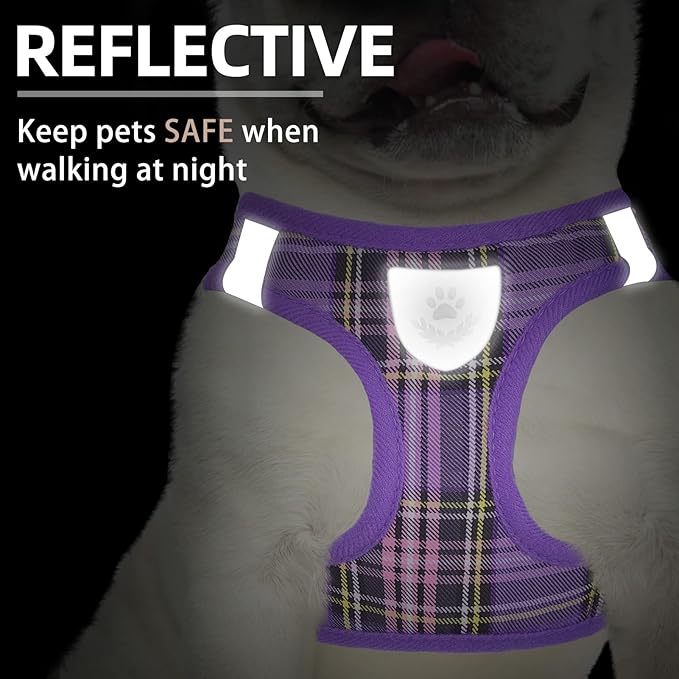PUPTECK Adjustable Dog Harness Collar and Leash Set Step in No Pull Pet Harness for Small Medium Dogs Puppy and Cats Outdoor Walking Running, Soft Mesh Padded Reflective Vest Harnesses, Purple L