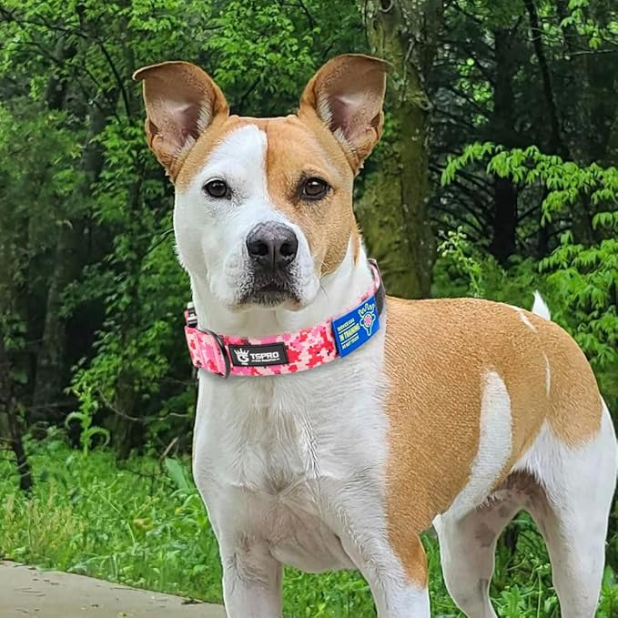 TSPRO Premium Dog Collars Tactical Dog Collar with Patch and Heavy Duty Quick-Release Metal Buckle Durable Thick and Adjustable for Medium to Large Dogs (Camo Pink M)