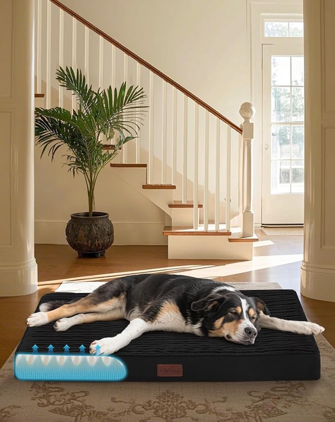 OhGeni Orthopedic Waterproof & Machine Washable Dog Bed for Medium Large Pets, Suitable for Crates, 25D Egg Crate Foam, Non-Slip Bottom & Removable Cover, 35 Inches(Black)