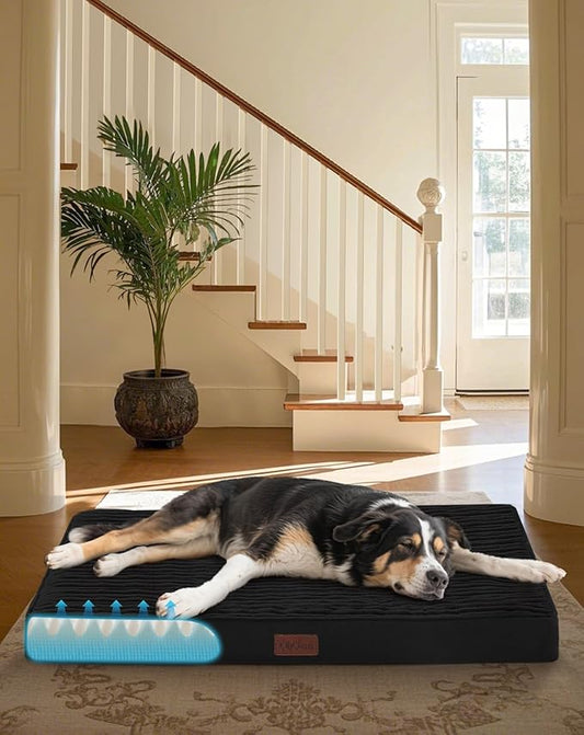 OhGeni Orthopedic Waterproof & Machine Washable Dog Bed for Medium Large Pets, Suitable for Crates, 25D Egg Crate Foam, Non-Slip Bottom & Removable Cover, 35 Inches(Black)