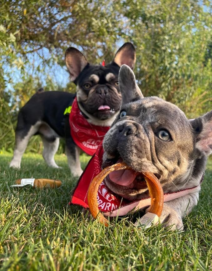 Redbarn Pet Products All-Natural 4" Bully Stick Rings for Dogs - Premium Grain-Free & Rawhide-Free Single Ingredient Long Lasting Low Odor Dental Treat for Chewers - 3 Count