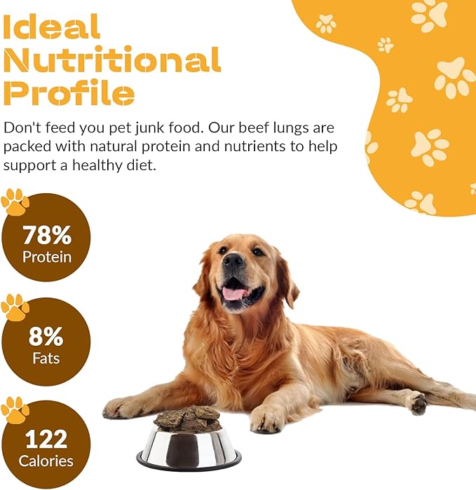Dog Chits Beef Lung Fillets Dog and Puppy Treats - New! - All Natural Grain and Chemical Free Training Chews - High Protein and Low Fat - Supports Dental Health - Made in The USA - Large 10 oz Bag