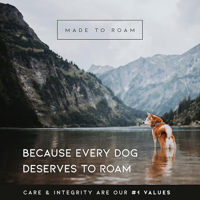 MADE TO ROAM Premium Explorer Harness - Y-Shaped Dog Harness with Adjustable Durable Nylon, Soft Padding, Metal Buckles and Leather Handle for Small, Medium, Large Dogs (California Horizon, Size 4)