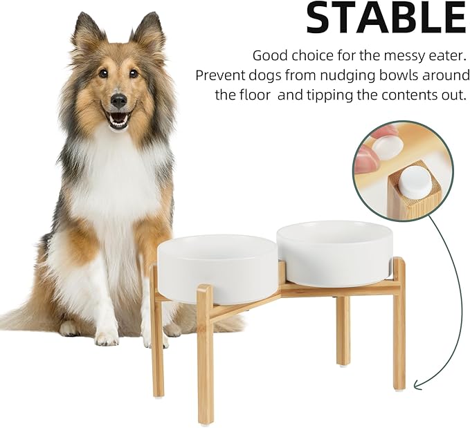 Ceramic Raised Double Bowls Set with Stand, Food & Water Bowls for Large Breed Dogs, Weighted Dog Dishes, Pet Bowl(8.2'',60OZ, White)