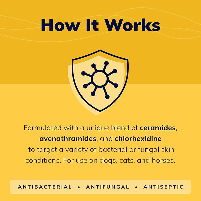 CeraSoothe® CHX Antiseptic Shampoo 16oz