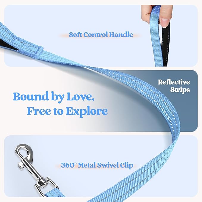 rabbitgoo Dog Harness Small Sized and Leash Set, Step in Soft Light Puppy Vest, Breathable Mesh Pet Harness, Reflective for Safe Easy Walking, Blue & Orange M