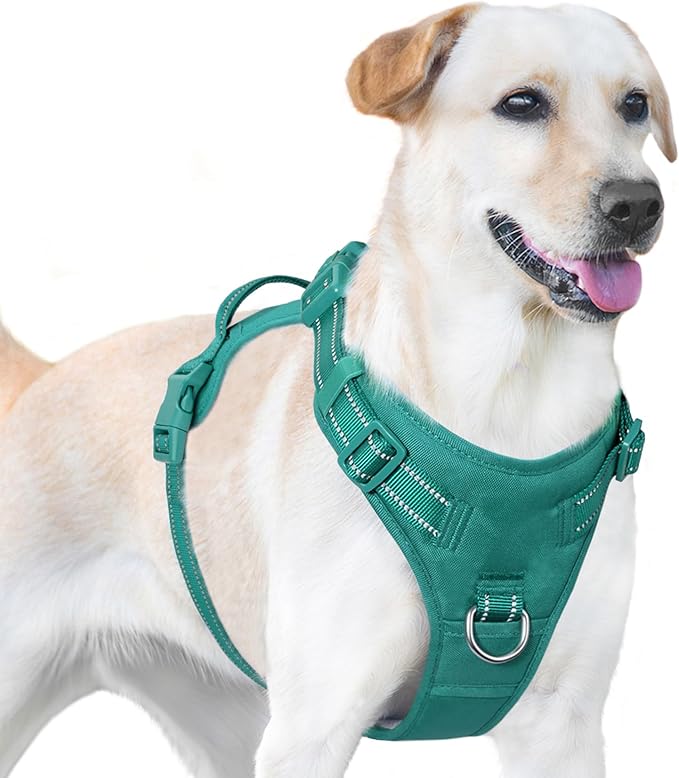 No Pull Dog Harness, Reflective Puppy Vest for Small Medium Large Sized Dog(MARRS Green,XS)