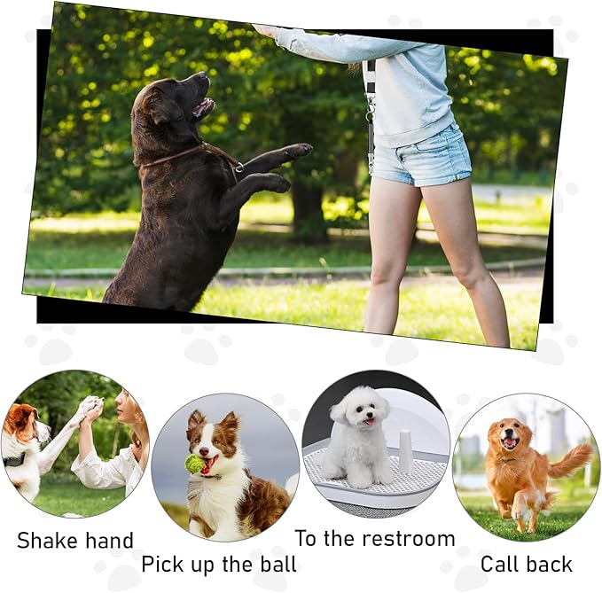 2 Pack Dog Whistle to Stop Barking Neighbors Dog, Dogs Whistle Training Whistles with Lanyard Adjustable Ultrasonic Silent Dogs Recall Whistles Effective Recall & Long Range (Black)