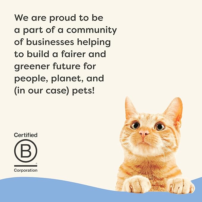 Applaws Vitality Wet Cat Food in Broth, Natural Cat Food with Added Vitamins & Minerals, Grain-Free, Carrageenan Free, Variety Selection in Broth (12 Count, 5.5 oz Cans)