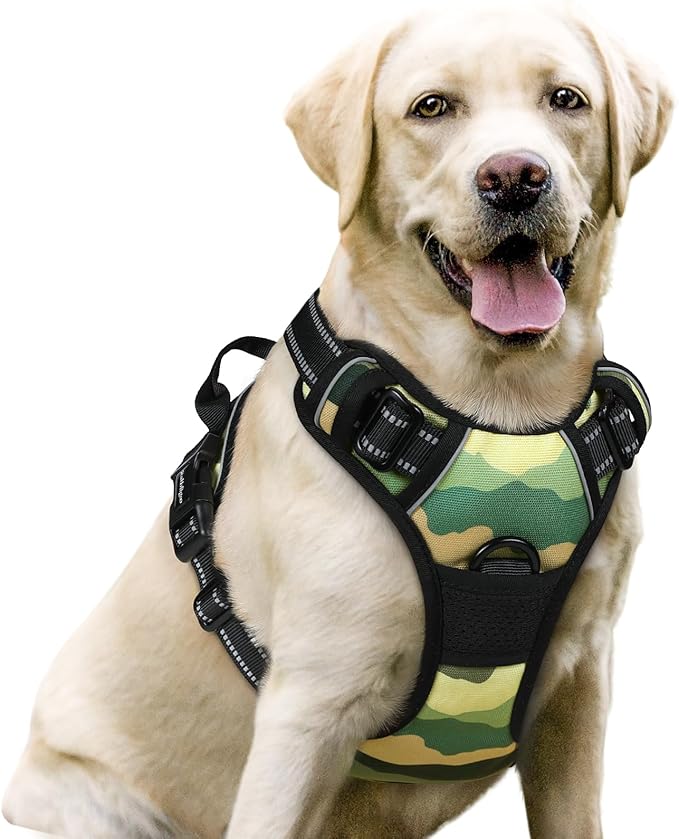 rabbitgoo Dog Harness No Pull with 2 Leash Clips, Adjustable Soft Padded, Reflective Oxford No Choke Pet Vest with Easy Control Handle for Large Dogs, Green Mountain,L