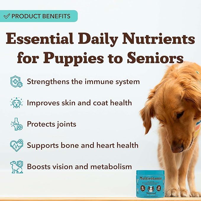 Natural Dog Company 25-in-1 Multivitamin Chews for Dogs – Daily Soft Dog Vitamins with Antioxidants, Zinc & Folic Acid – Supports Joints, Skin & Coat, Immune & Heart Health – All Ages, All Breeds