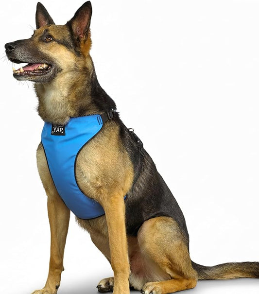 YAP Techno® Anti Pull Dog Harness, 4-Way Adjustable, Dog Vest Harness with Easy Control Handle, No Choke Dog Harness for All Breeds; 90-175 lbs (Aero Blue, Extra Large)