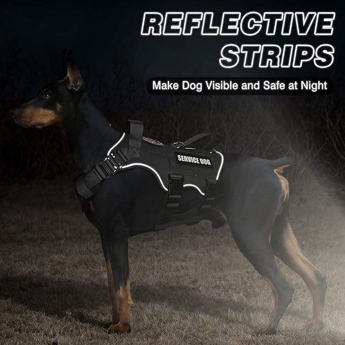 Tactical Service Dog Vest and Leash Set,Heavy Duty Harness with Metal Buckles for Medium Sized Dogs,Adjustable No Pull Pet Vest with Patches for Training Working,Black M