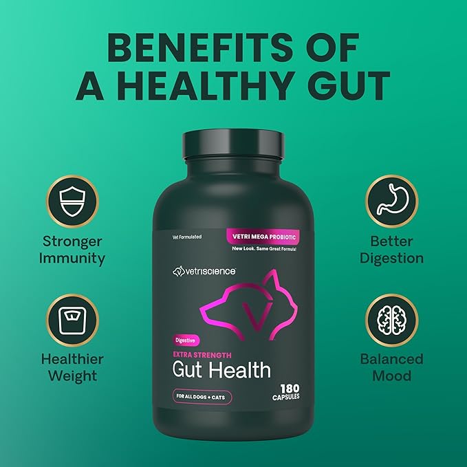 VetriScience Extra Strength Gut Health Probiotic & Prebiotic Digestive Supplements for Dogs & Cats, Gas & Diarrhea & Immune Support, Easy-Open Capsules, 180 Count - New Look