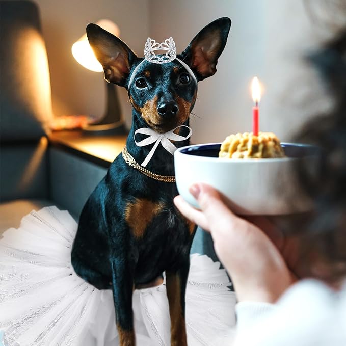 2 Pcs Dog Crown Headband Dog Tutu Dress Set Crystal Rhinestone Tiara Crown Tutu Skirt Pet Dress Costume for Puppy Birthday Party Wedding Photo Prop Costume(Medium,White)