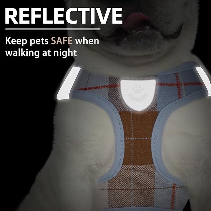 PUPTECK Adjustable Dog Harness Collar and Leash Set Step in No Pull Pet Harness for Small Medium Dogs Puppy and Cats Outdoor Walking Running, Soft Mesh Padded Reflective Vest Harnesses, BlueBrown M