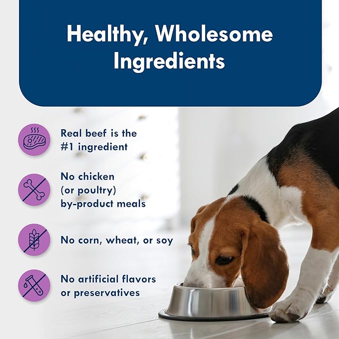 Blue Buffalo Delights Natural Adult Small Breed Wet Dog Food Cups, Pate Style, Top Sirloin Flavor in Savory Juice 3.5-oz (Pack of 12)