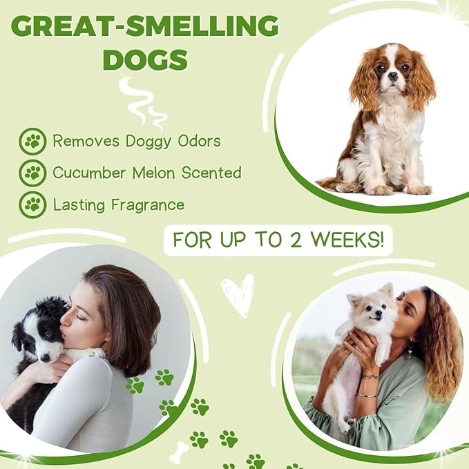 Alpha Dog Series All Stages Natural Dog Shampoo and Conditioner Set with Aloe Vera pH-Balanced Dog Grooming Shampoo and Conditioner for Dogs, Tear-Free Moisturizing Dog Shampoo, 26.4 Oz (Pack of 2)