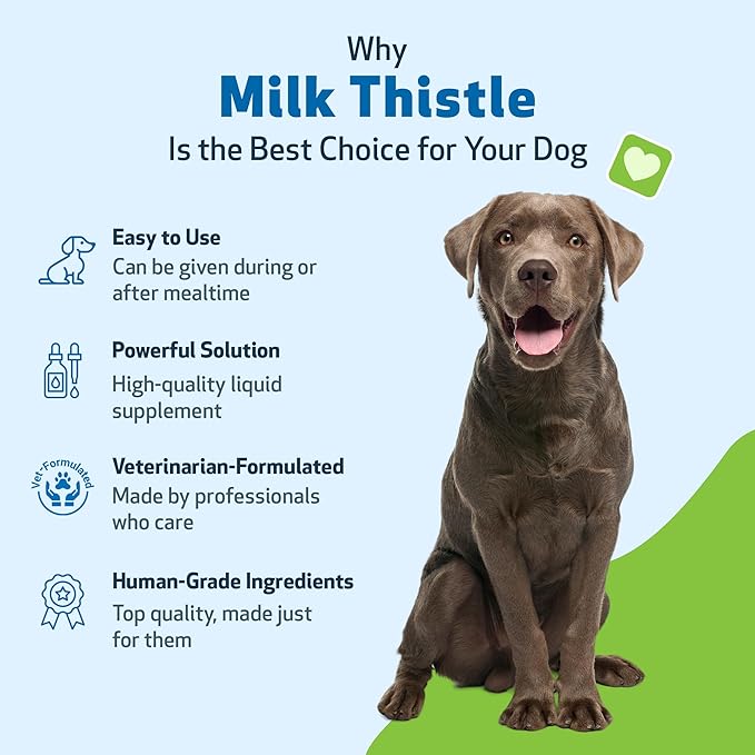 Pet Wellbeing Milk Thistle for Dogs Organic Herb, Milk Thistle Liver Detox Support - Pet Wellbeing Vet-Formulated Holistic Supplement - 2oz (59 ml)